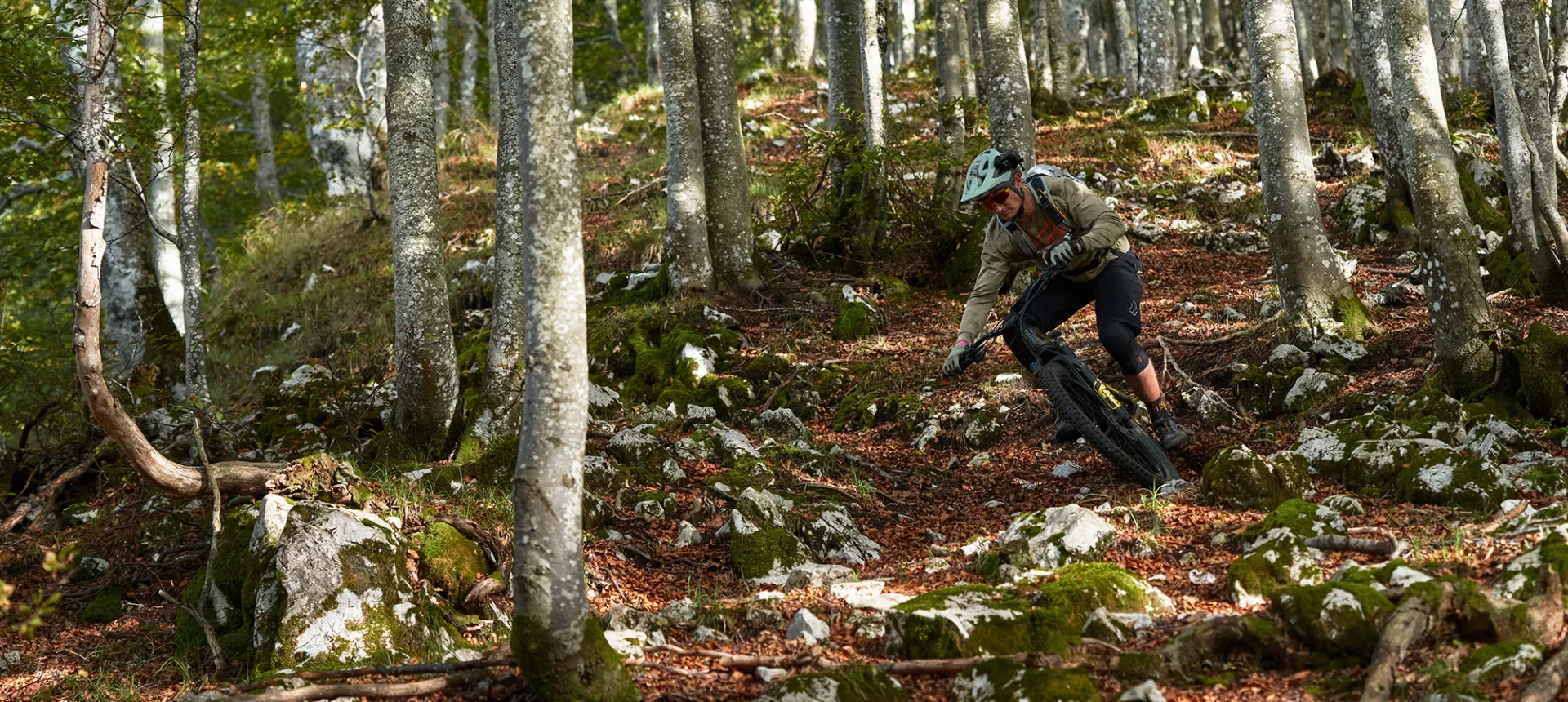 Dartmoor Cody ダートムーア コーディストリート ダート Dartmoor Cody ダートムーア コーディストリート ダート Dartmoor Cody